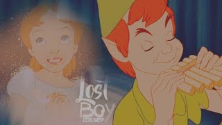 Dgs Lost Boy Peter Pan Tribute