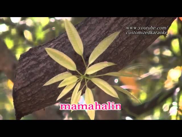 IKAW ANG IIBIGIN  KARAOKE