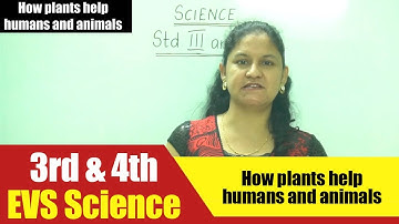 3rd & 4th Std EVS Science | How plants help humans and animals | CBSE Science Syllabus