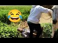 الحاج صديق وقع من فوق حمارة البرسيم هتضحك من قلبك
