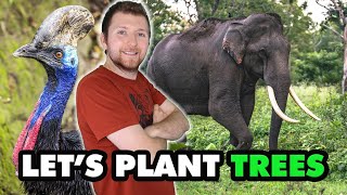 GARDENERS of the Rainforest 🌴 | AweSIMe