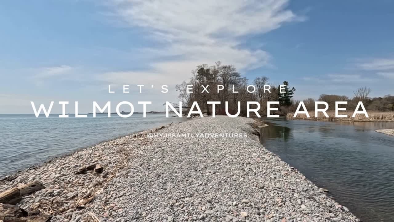 Peaceful Walk Through Samuel Wilmot Nature Area | Relaxing Nature Trails in Ontario  🇨🇦