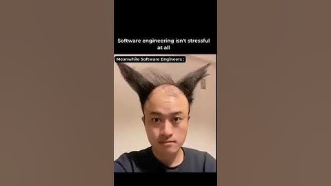 Software engineer isn