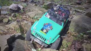 Borneo Scale Crawler(BSC) - Lets Crawl DBKU hill Kuching