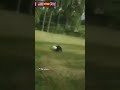لعيب كبري ولا احلى