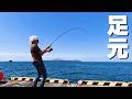 堤防の足元に高級魚が溢れている！～2泊3日の新島釣りキャンプ～