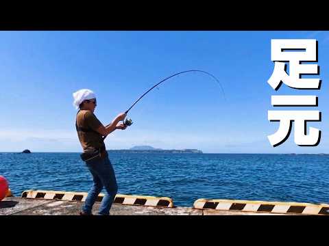堤防の足元に高級魚が溢れている！～2泊3日の新島釣りキャンプ～