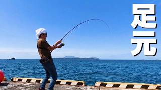 堤防の足元に高級魚が溢れている！～2泊3日の新島釣りキャンプ～
