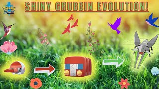 Evolving My Shiny Grubbin Into Shiny Vikavolt In Pokémon Sword