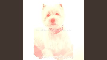 Pulsating Ambience for Relaxing Dogs