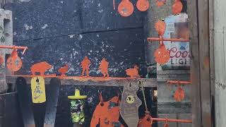 Will the Beeman P17 Tiny target #9