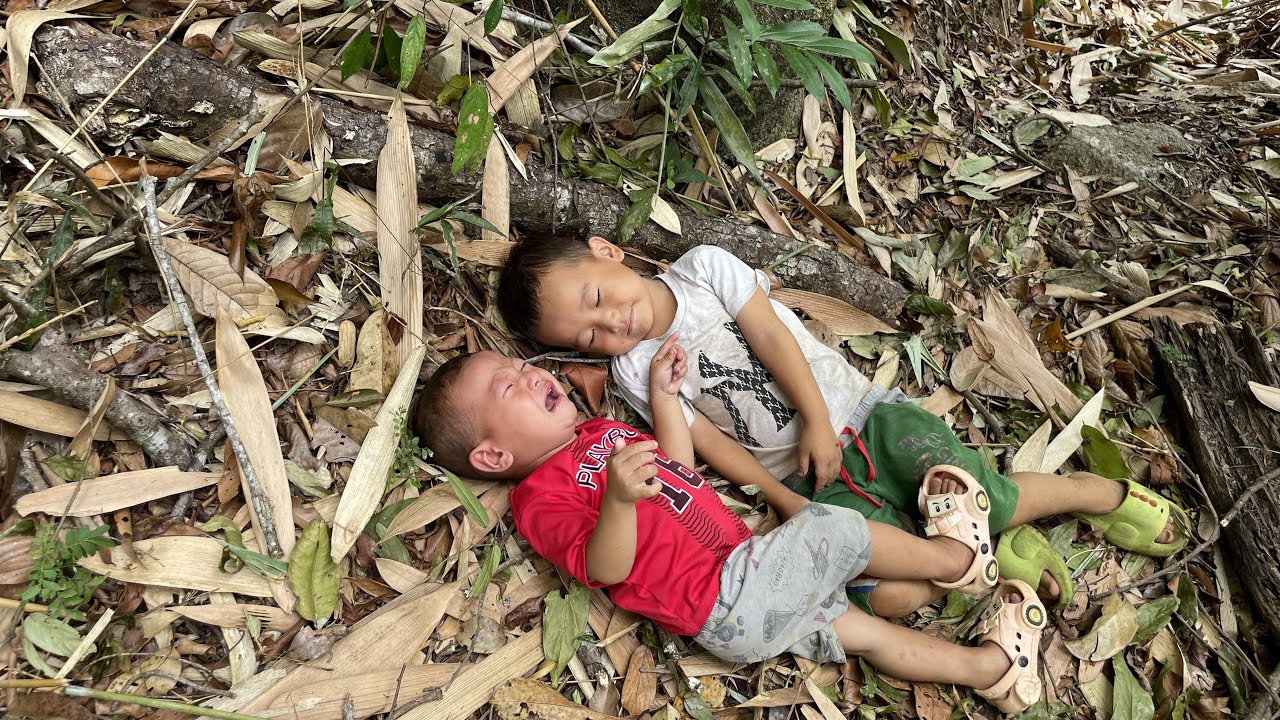 Single mother: trying in vain to find her lost child in the forest ...