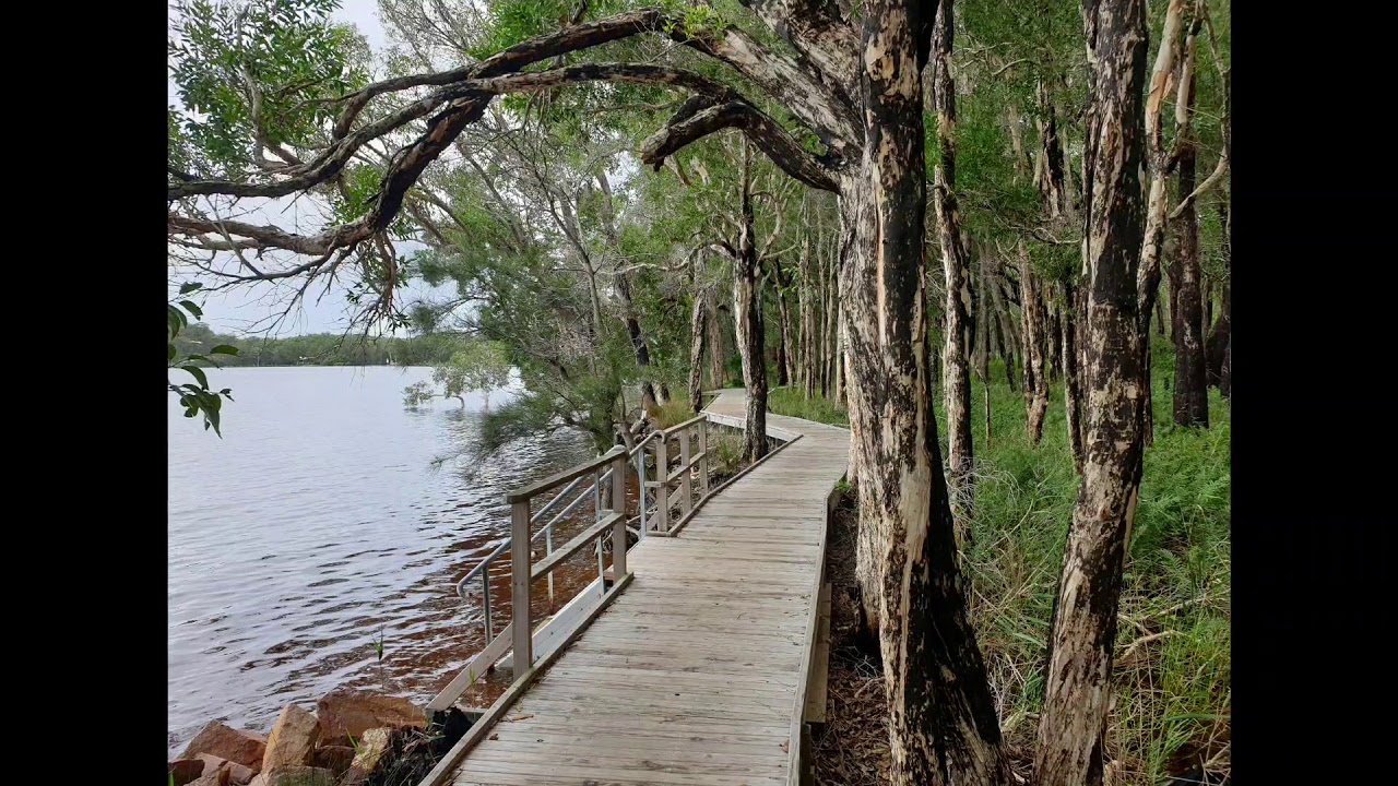 Tanilba Bay NSW YouTube