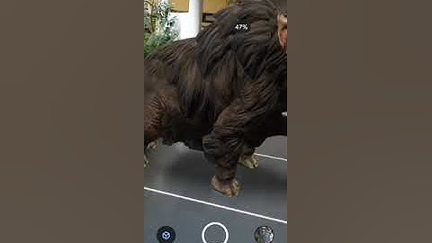 ARcademy - Flutter AR Project