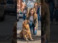 #Dog #usa