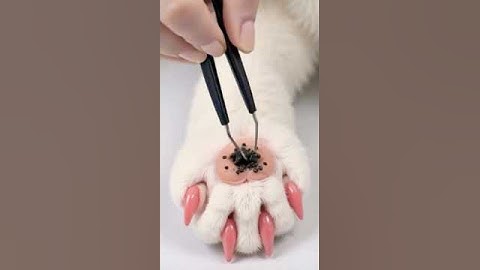 #mochipimplepopping #pimplepopper #visualasmr #mochicatspaw #oddlysatisfying #satisfying #fyp