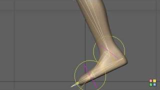 Foot Rig 1 of 6