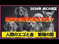 ダックスのクリームは❌│ティーカップは存在しない│世界がキャバリアやパグの繁殖を禁止