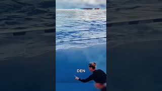 🐋 The world's smartest orca surprised everyone! 😲 #animals #shorts