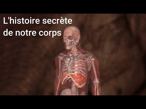 L&rsquo;histoire Secrète de Notre Corps​​​​​​​ | Documentaire