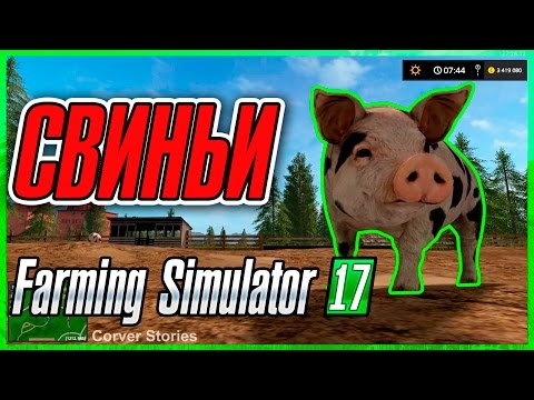 Видео: Farming Simulator 17. Гайд по свиньям.
