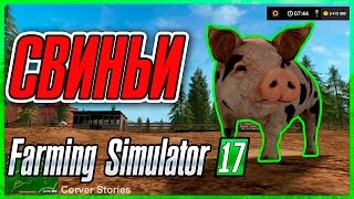 Farming Simulator 17. Гайд по свиньям. Farming Simulator 17. Гайд по свиньям.