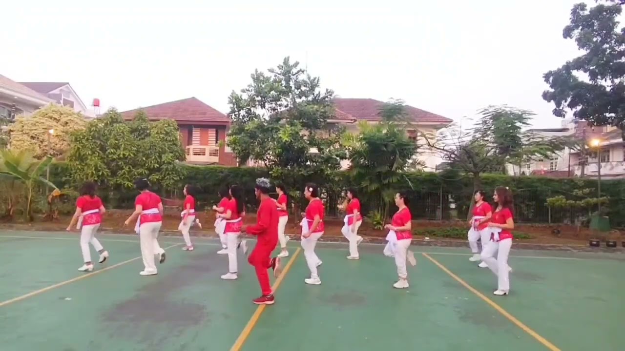 Nusantara  Remix/ line Dance /Janur Elok/Beginner