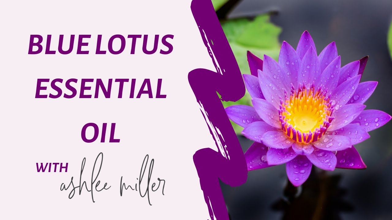 Blue Lotus from doTERRA is safe and Beautiful YouTube