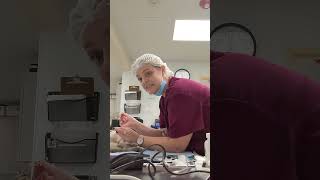 Skill # 21 Feline SQ Injection