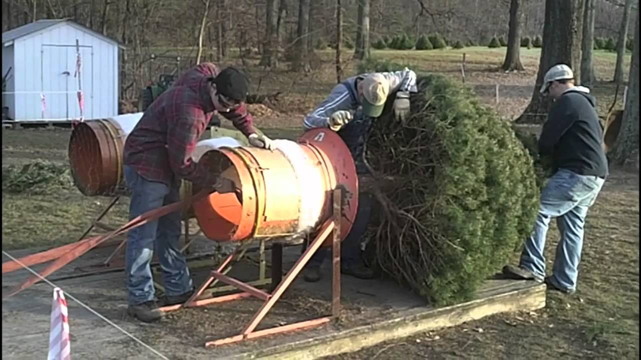 Christmas Tree YouTube