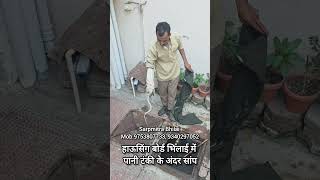 घर के पानी टंकी में सांप का रेस्क्यू हाऊसिंग बोर्ड भिलाई Sarpmitra Bhilai