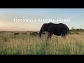 The Virtual Safari | Introduction