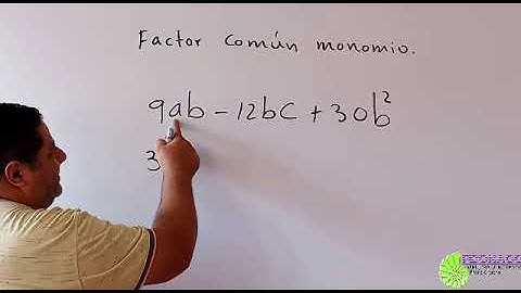 FACTOR COMÚN MONOMIO #2