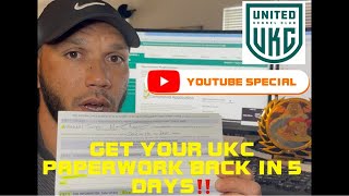 HOW TO UKC REGISTER YOUR AMERICAN BULLY FAST‼️⚡️Less than 5 Days!  #vepbullies #americanbullies