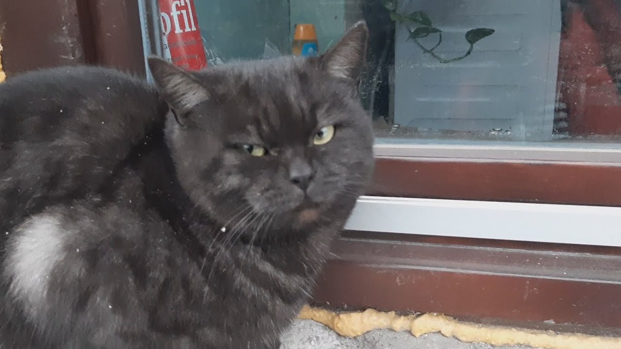 ЗАКОНЧИЛИ УБОРКУ/ К ЗИМЕ ГОТОВЫ/БЫЛО-СТАЛО - YouTube