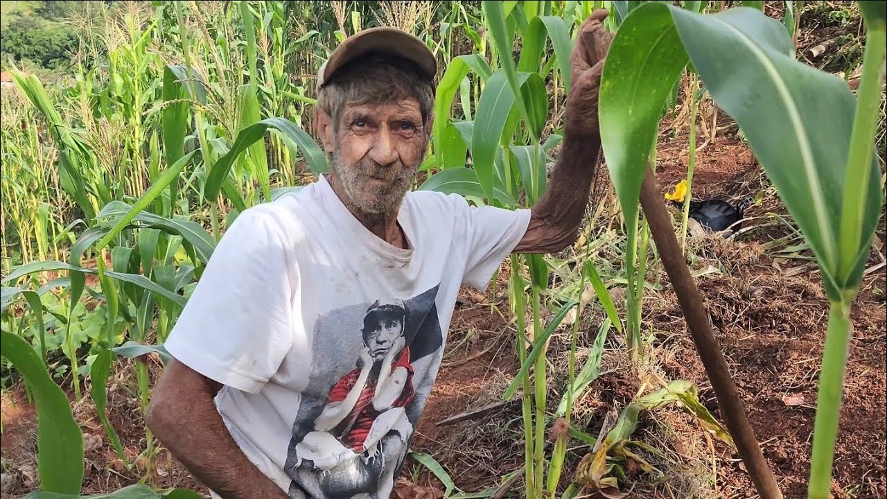 SENHOR GERALDO DE QUASE 80 ANOS TRABALHA ATÉ DIA DE DOMINGO CAPINANDO 