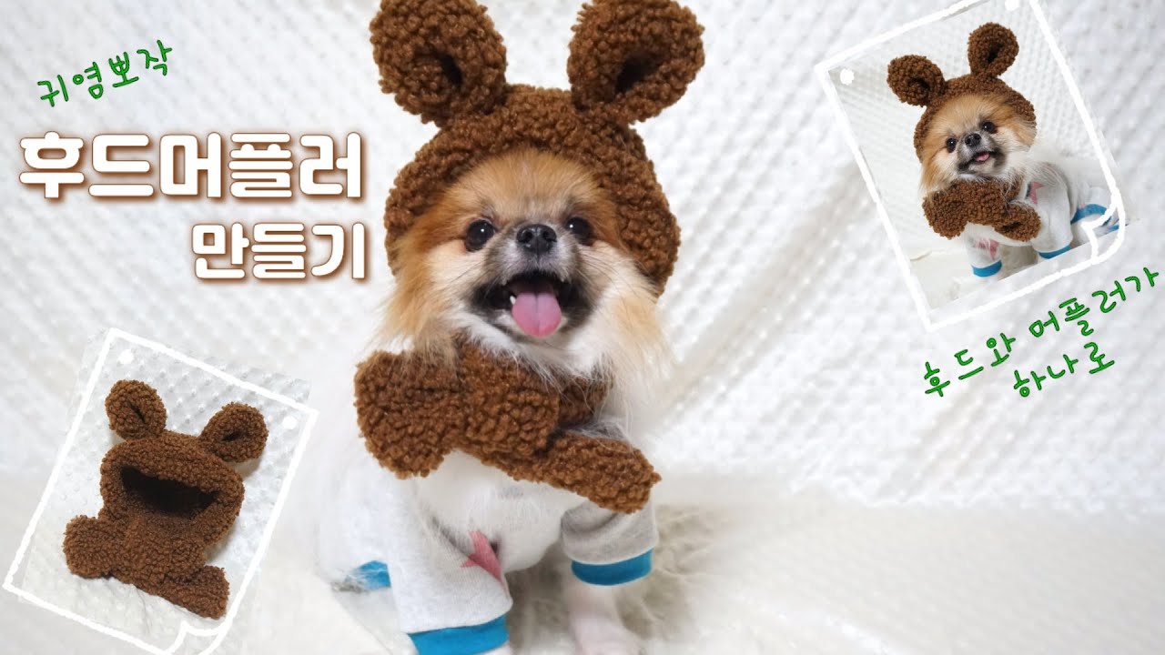 ENG) 귀염뽀작 강아지 후드머플러 만들기 (후드와 머플러가 하나로~~) dog's hoodie muffler