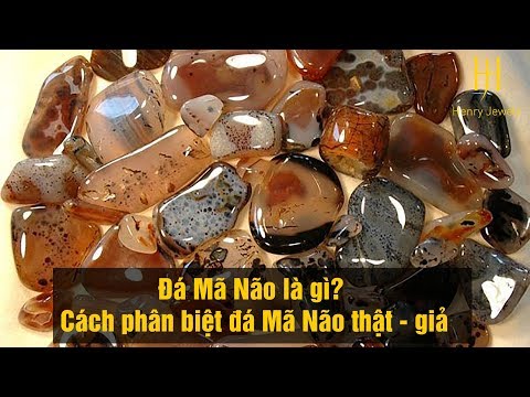 Video: Cách Xác định Tính Xác Thực Của Mã Não