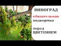 ВИНОГРАД ПОДКОРМКА ДО ЦВЕТЕНИЯ ЧЕМ И КАК ПОДКОРМИТЬ ВИНОГРАД ВЕСНОЙ