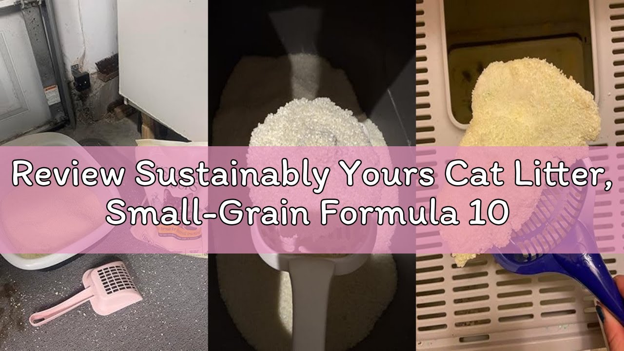 Review Sustainably Yours Cat Litter, Small-Grain Formula 10 lbs