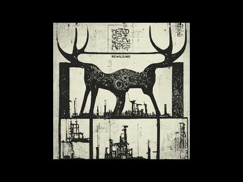 Rewilding artwork