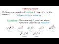 Nouns' gender