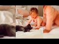 Cute Cat Videos | Viral Cats | Funny Cats | The Cat Lounge 15