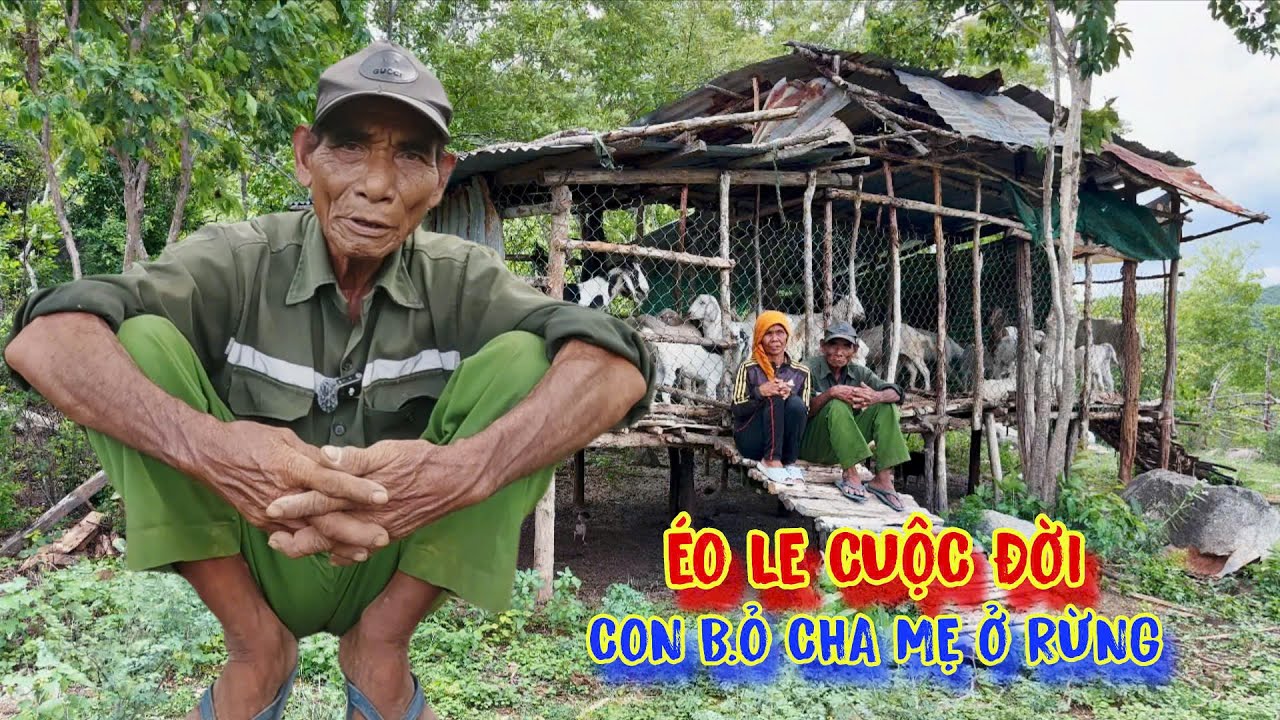 ĐẮNG CAY cuộc đời, CHA MẸ cả đời LAM LŨ vì con, vậy mà đến cuối đời, nghe mà THẤM - tập 1411