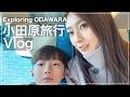 【Vlog】小田原旅行|大人の「好き」が詰まった街
