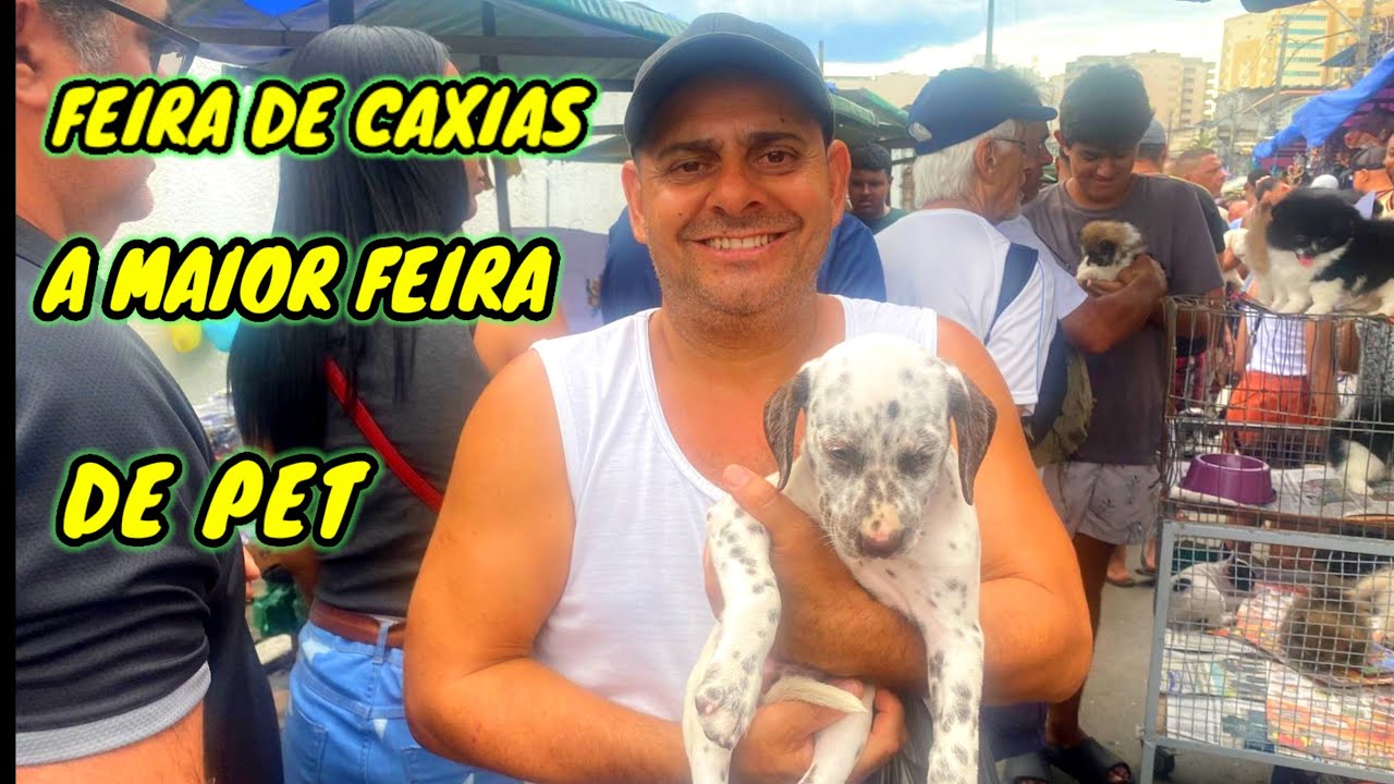 FEIRA DE CAXIAS A MAIOR FEIRA DE PET DO BRASIL .