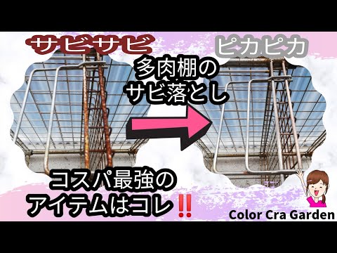 多肉棚をメンテナンス!! サビサビの多肉棚のさび落とし。コスパ最強の3