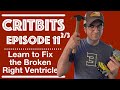 LEARN TO FIX THE BROKEN RIGHT VENTRICLE