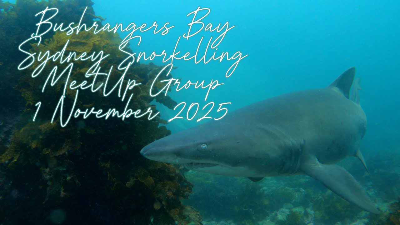 Bushrangers Bay 1 November 2025