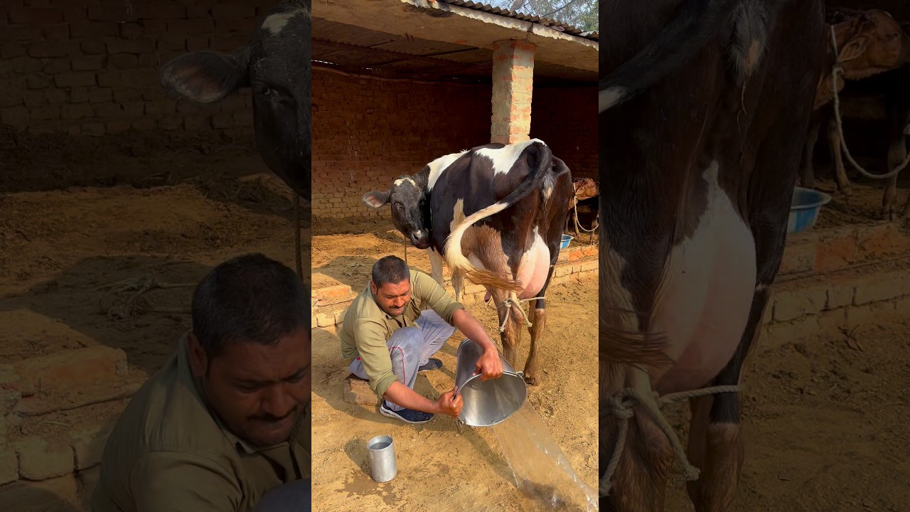 PLEASE SUBSCRIBE ME🔥✅ 